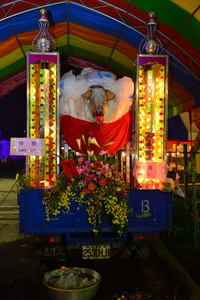 神豬(1053台斤)